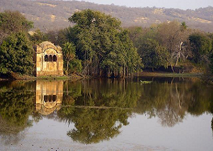 ranthambore-padam-talab